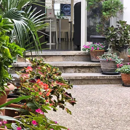 Mediterraneo ゲストハウス